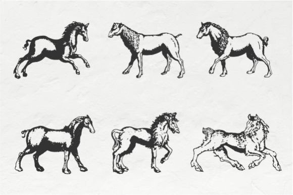Horse Vintage Illustration Vector: A Designer's Review
