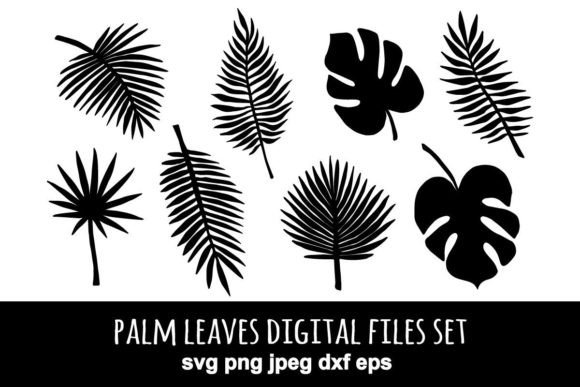 Palm Leaves Set: Premium Graphics & Illustrations